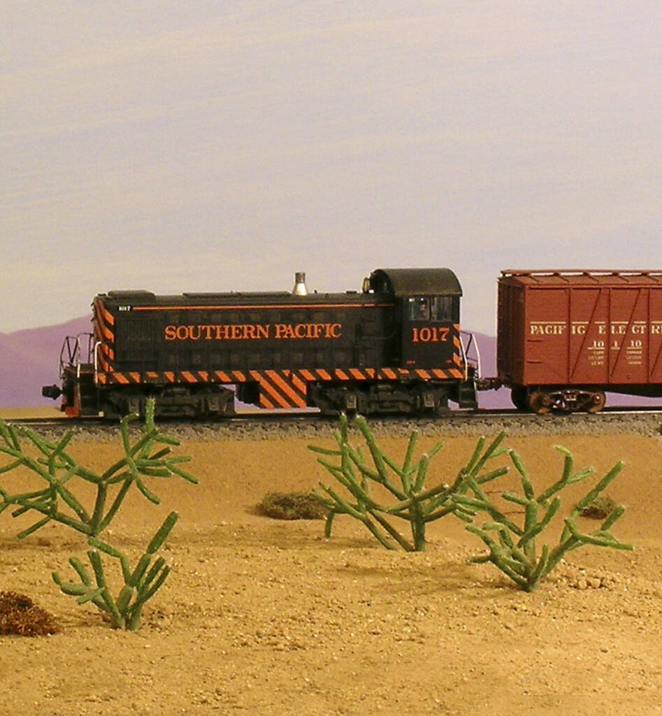A model train in a desert setting with live cacti plants