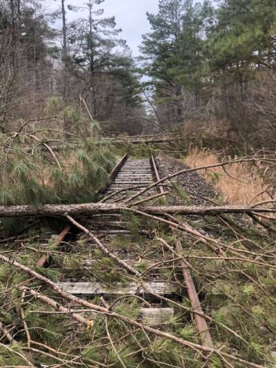 Ice storm plagues rehabilitation efforts on Mississippi short line