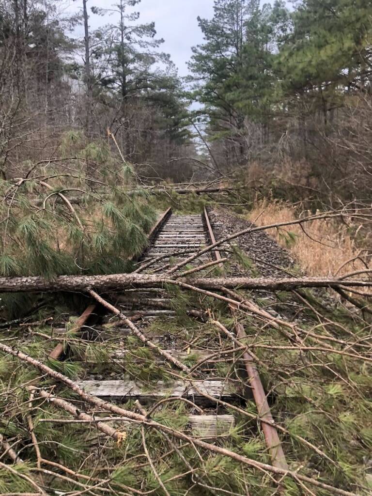 Downed trees across rail line